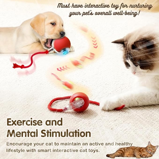 Automatic Rolling Moving Rechargeable Self Play Stimulation Toy,Smart Pet Chase Ball With Speedy Tail Rope For Bored Indoor Cats Enrichment(Red)