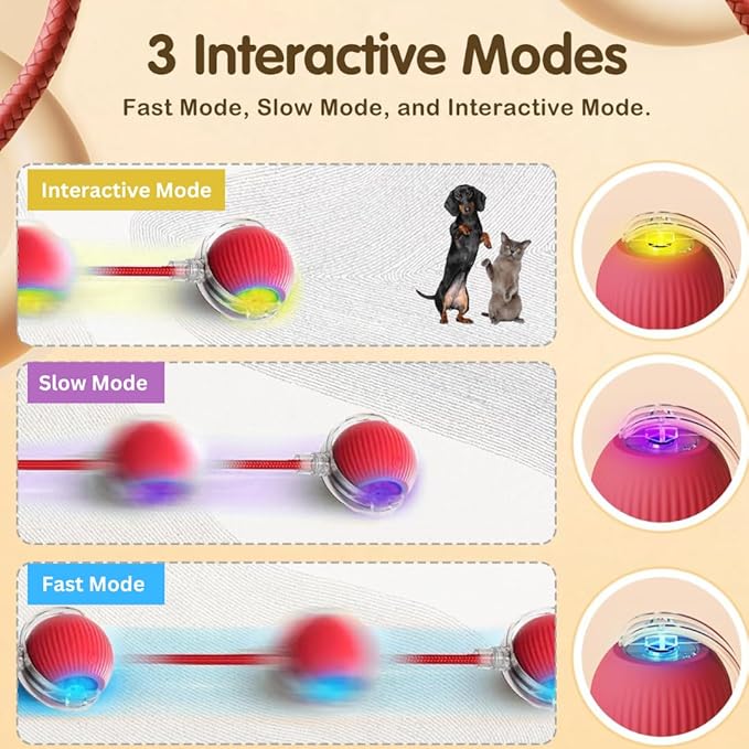 Automatic Rolling Moving Rechargeable Self Play Stimulation Toy,Smart Pet Chase Ball With Speedy Tail Rope For Bored Indoor Cats Enrichment(Red)