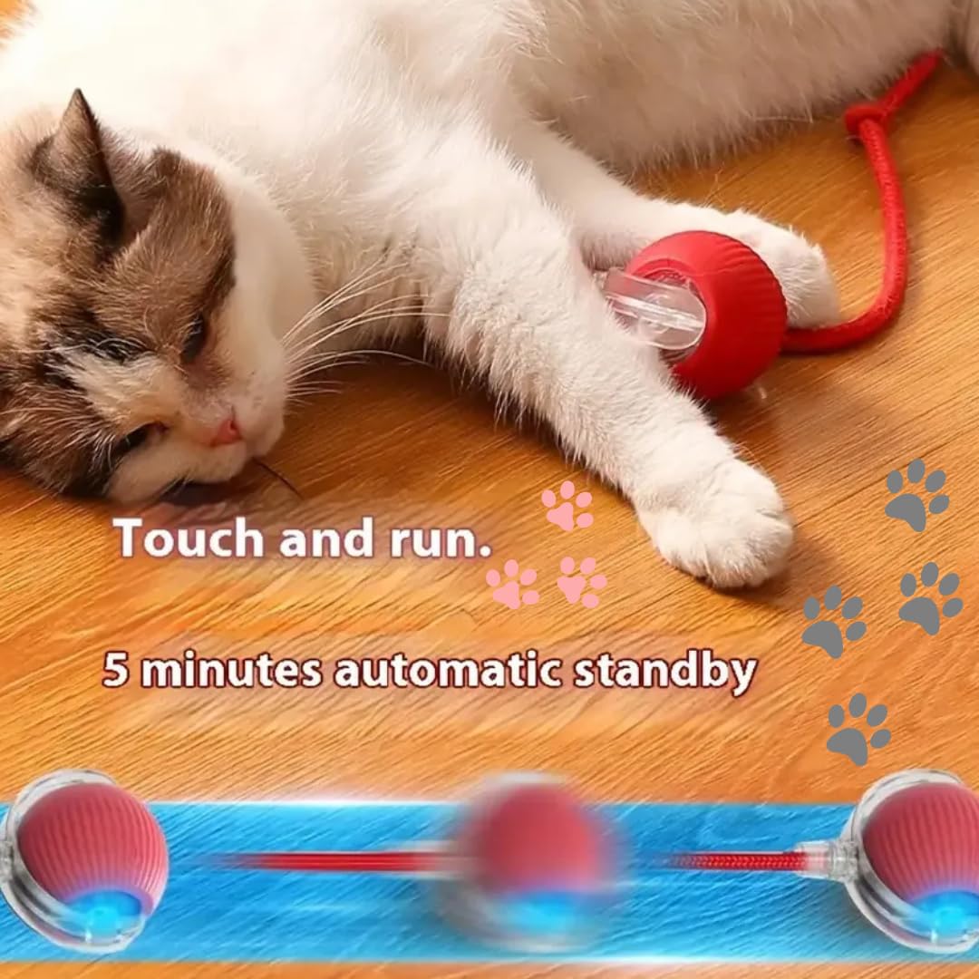 Automatic Rolling Moving Rechargeable Self Play Stimulation Toy,Smart Pet Chase Ball With Speedy Tail Rope For Bored Indoor Cats Enrichment(Red)