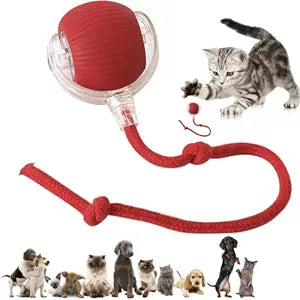 Automatic Rolling Moving Rechargeable Self Play Stimulation Toy,Smart Pet Chase Ball With Speedy Tail Rope For Bored Indoor Cats Enrichment(Red)